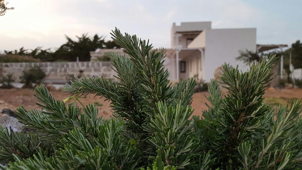 Casa Vacanze Senia Del Rais Favignana Dış mekan fotoğraf