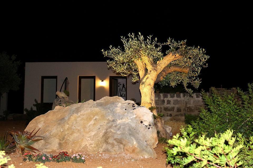 Casa Vacanze Senia Del Rais Favignana Dış mekan fotoğraf